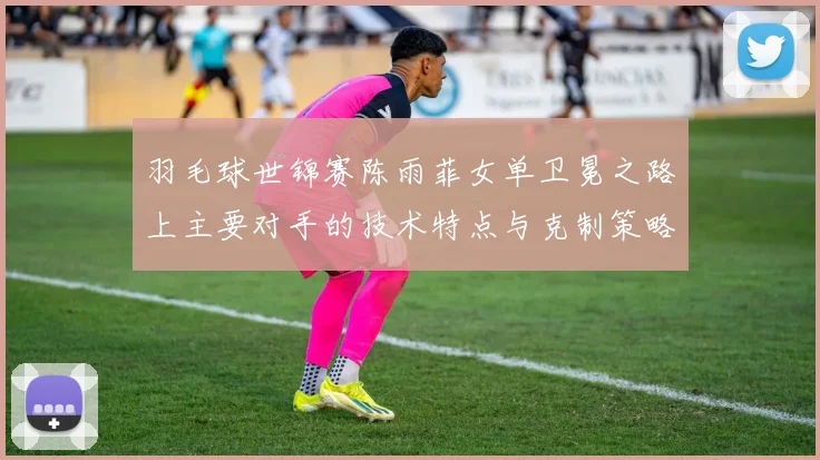 羽毛球世锦赛陈雨菲女单卫冕之路上主要对手的技术特点与克制策略