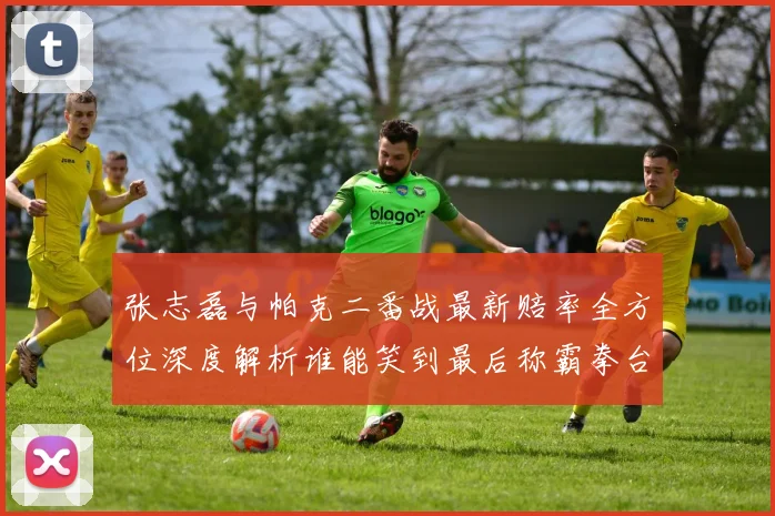 张志磊与帕克二番战最新赔率全方位深度解析谁能笑到最后称霸拳台